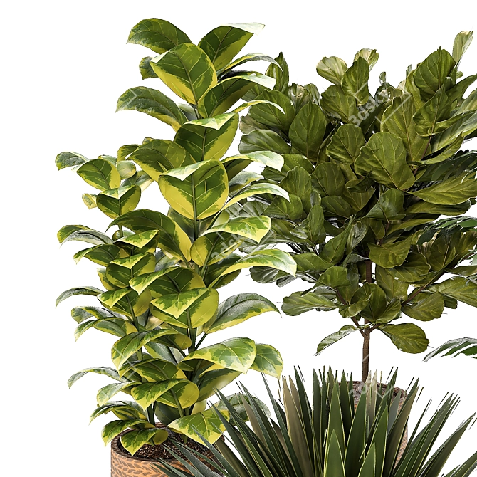 Versatile Indoor Plant Set: 4 Stunning Models 3D model image 2