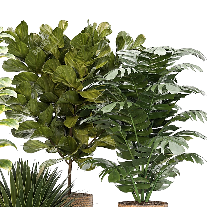 Versatile Indoor Plant Set: 4 Stunning Models 3D model image 3