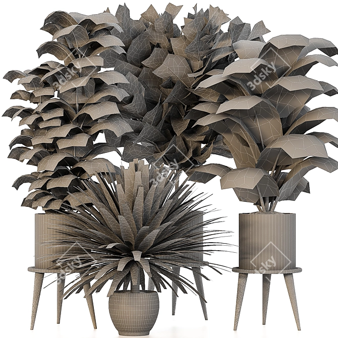 Versatile Indoor Plant Set: 4 Stunning Models 3D model image 5