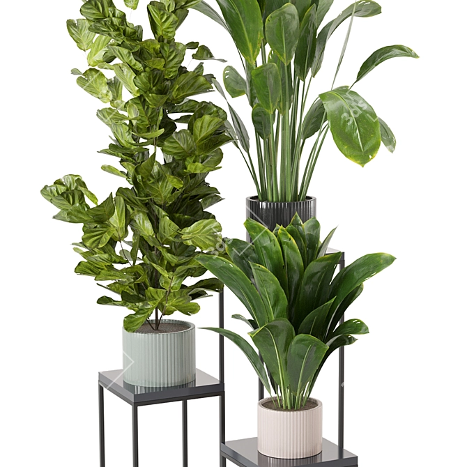 Botanical Bliss: Indoor Plant Collection 3D model image 4