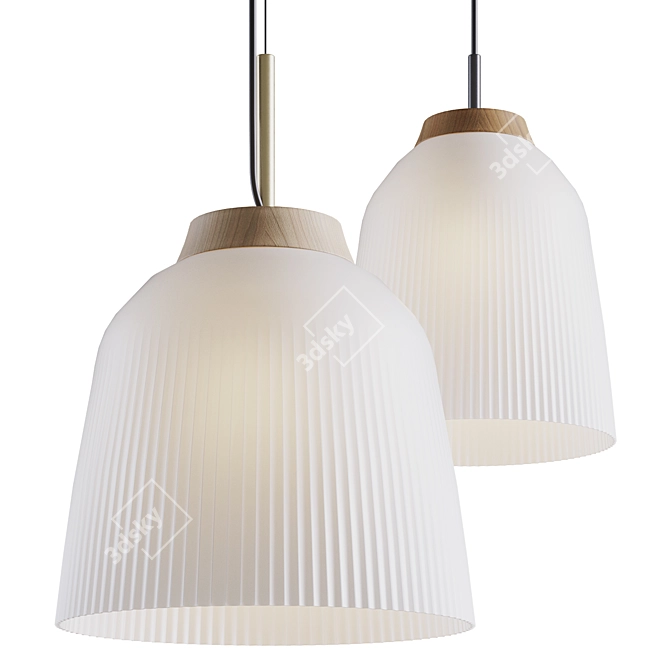 Campa Pendant Lights: Stylish and Functional 3D model image 1