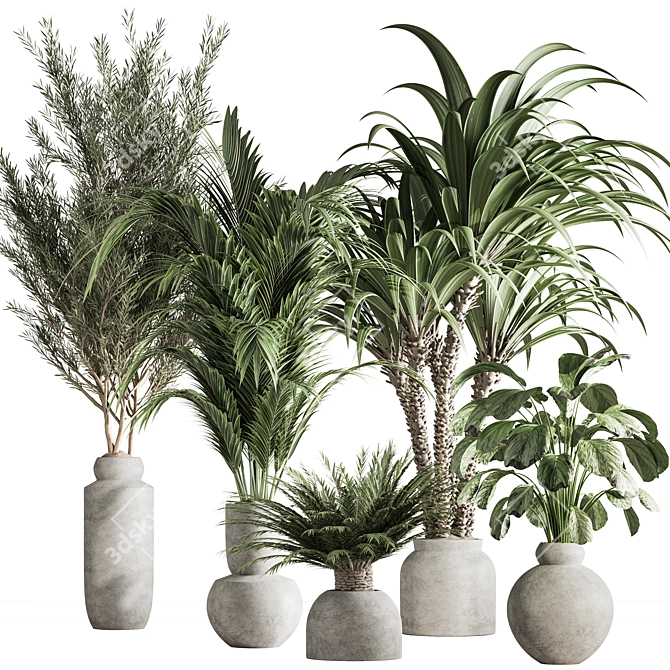 Natural Green Indoor Plant Set 3D model image 1