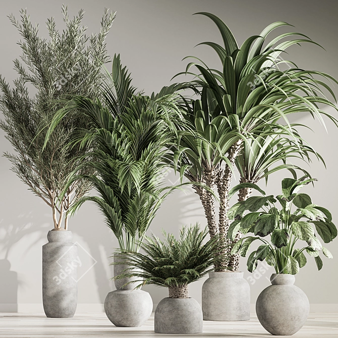 Natural Green Indoor Plant Set 3D model image 2