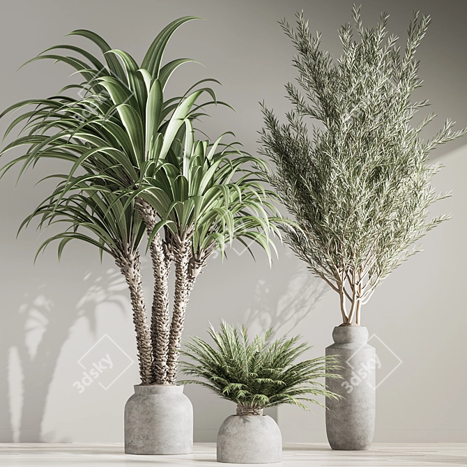 Natural Green Indoor Plant Set 3D model image 3