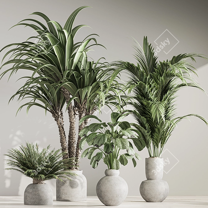 Natural Green Indoor Plant Set 3D model image 4