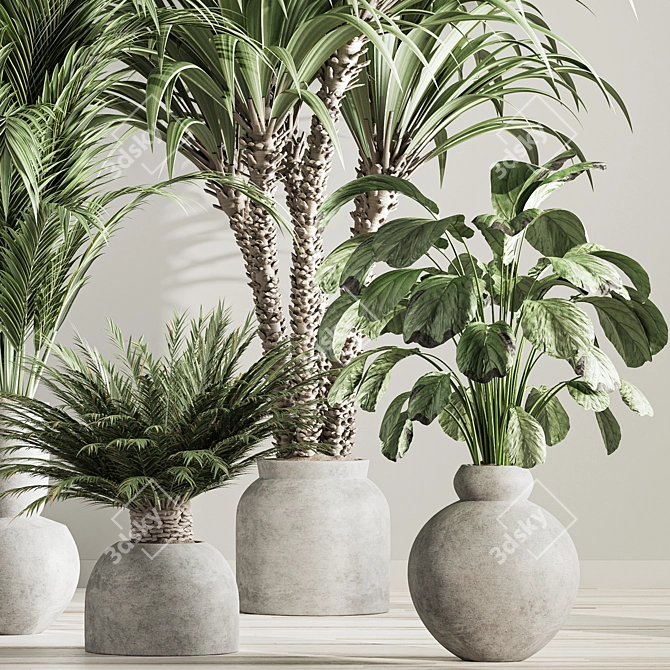 Natural Green Indoor Plant Set 3D model image 5