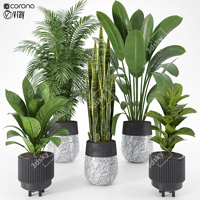 Tropical Garden Plant Set 3D model image 1