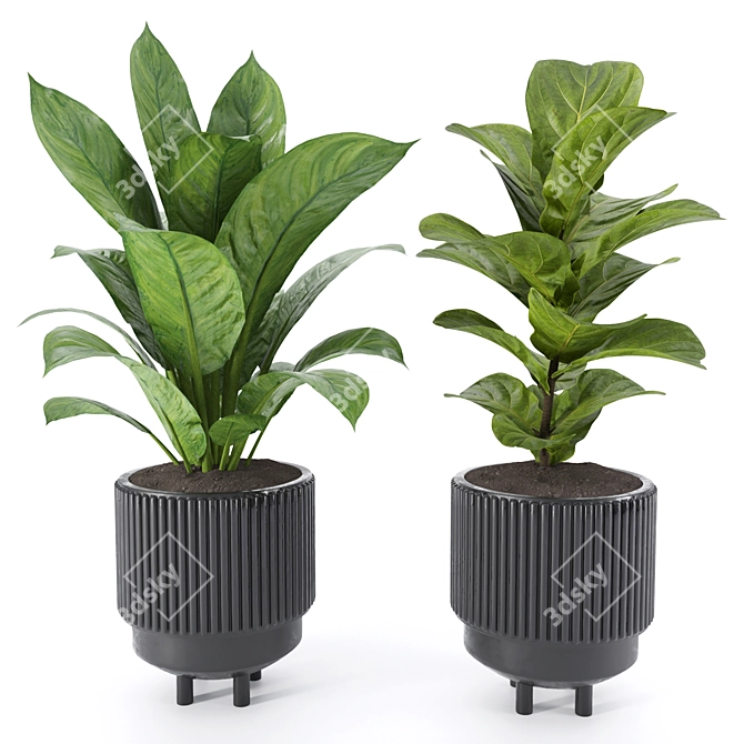 Tropical Garden Plant Set 3D model image 3