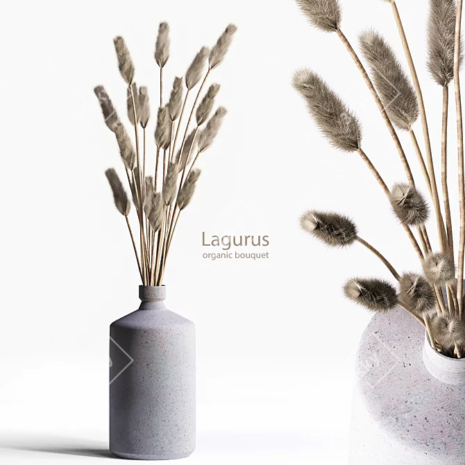 Natural Lagurus Bouquet 3D model image 1