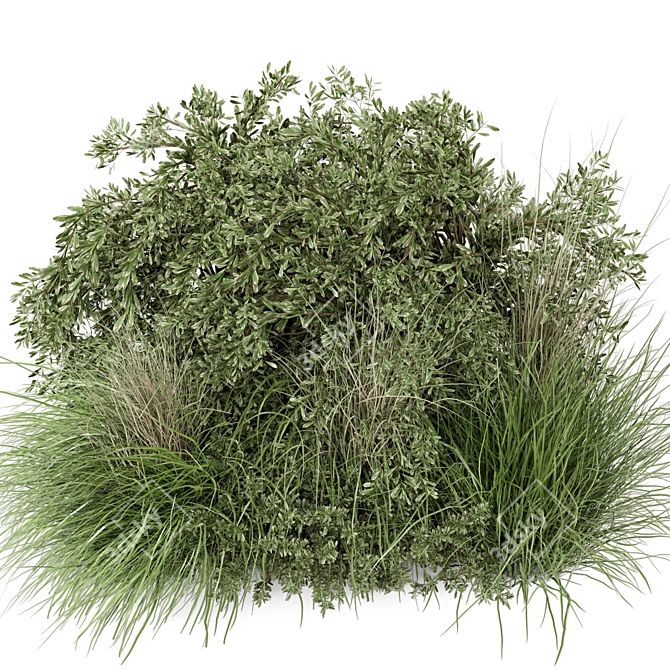 Lush Outdoor Plant Set 492 3D model image 4