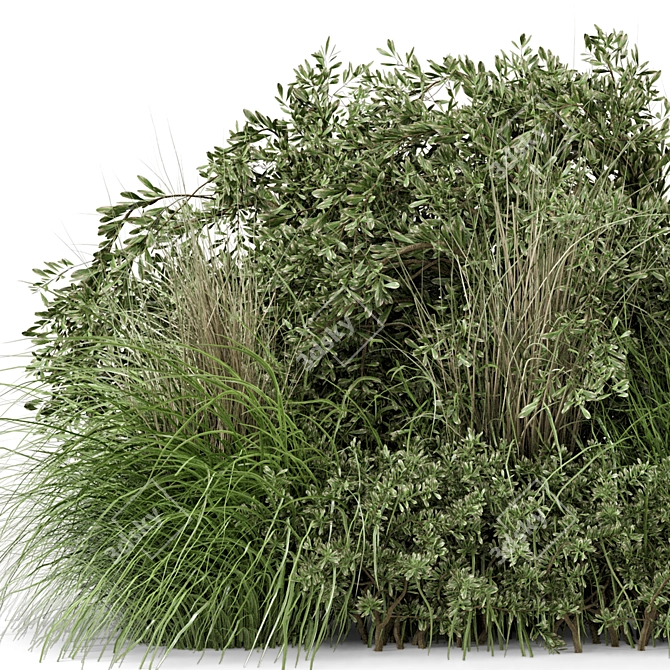 Lush Outdoor Plant Set 492 3D model image 5