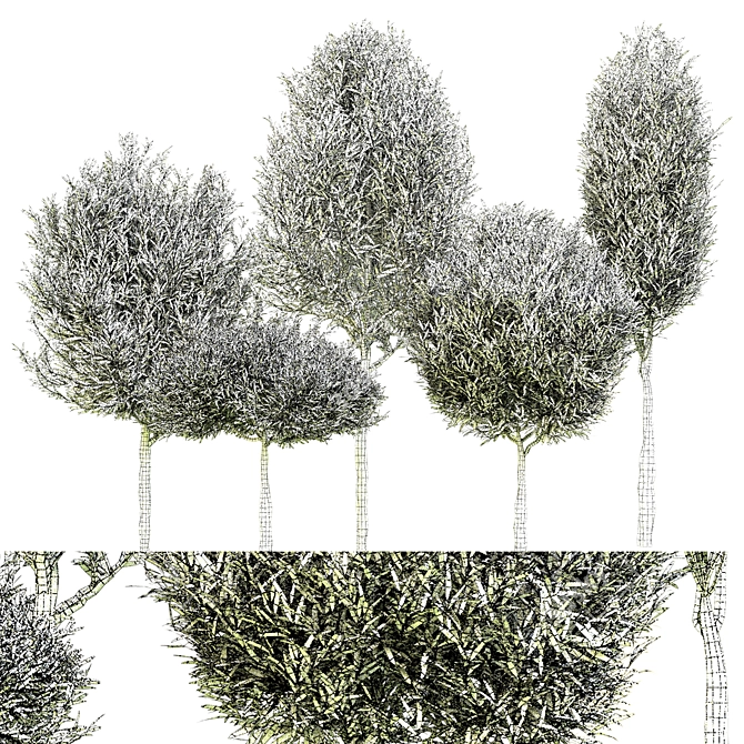 Outdoor Plant Vol. 41 - 2015 Edition 3D model image 2