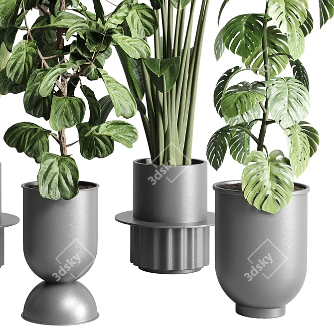 Urban Jungle: Palm, Ficus, & Monstera in Concrete Vase 3D model image 5