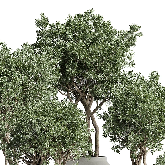 189 Concrete Dirt Vase Pot Tree 3D model image 3