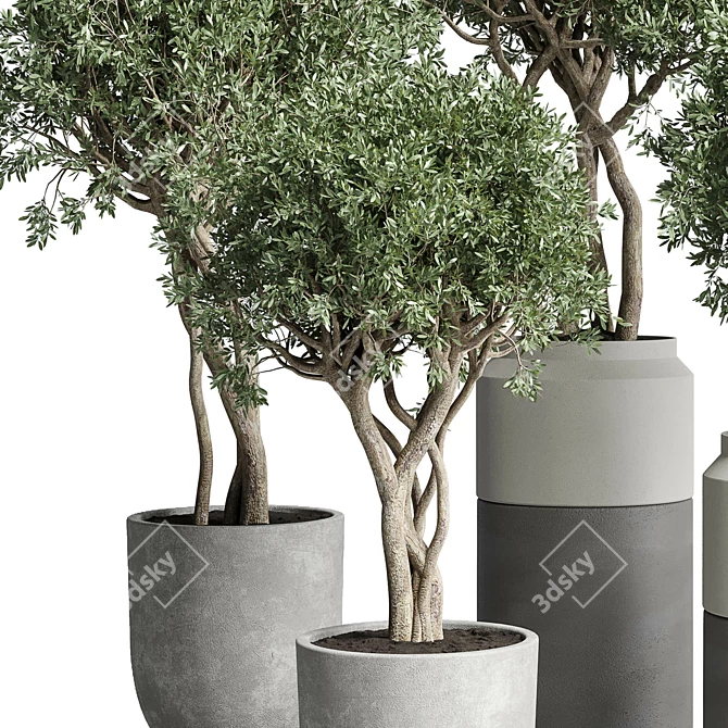 189 Concrete Dirt Vase Pot Tree 3D model image 6