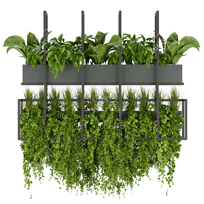 Elegant Hanging Plant Collection 3D model image 2