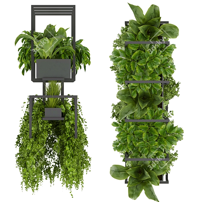 Elegant Hanging Plant Collection 3D model image 3