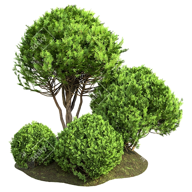 Outdoor Plant Vol 42 - High-Quality 3D Model 3D model image 1