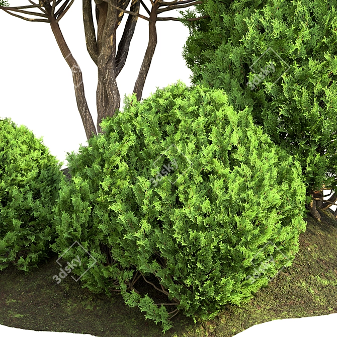 Outdoor Plant Vol 42 - High-Quality 3D Model 3D model image 4