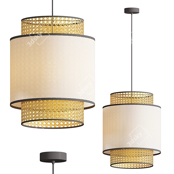 Elegant Marko Pendant Light 3D model image 1