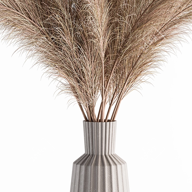 Natural Pampas Grass Bundle Set 3D model image 3