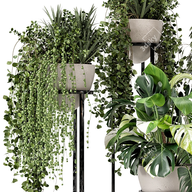 Rustic Concrete Pot Shelf Set with Indoor Plants 3D model image 2