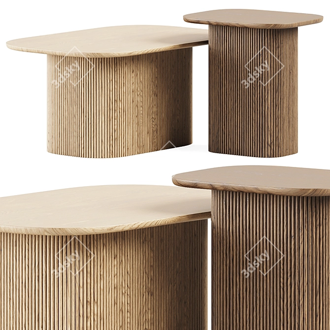 Modern Tamula Coffee Tables Set 3D model image 1