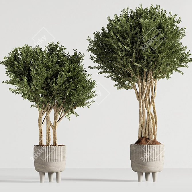 Modern Indoor Plant Decor 3D model image 3
