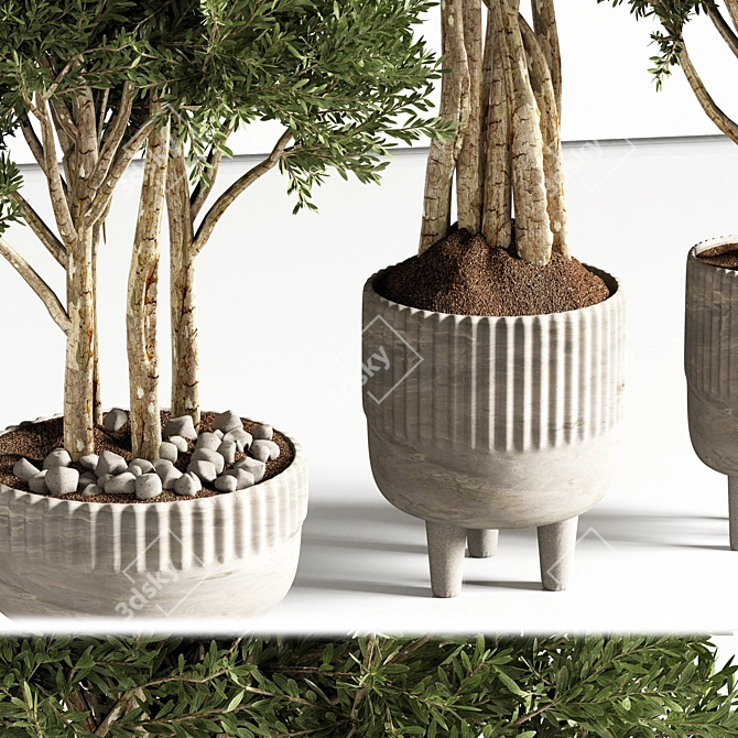 Modern Indoor Plant Decor 3D model image 4
