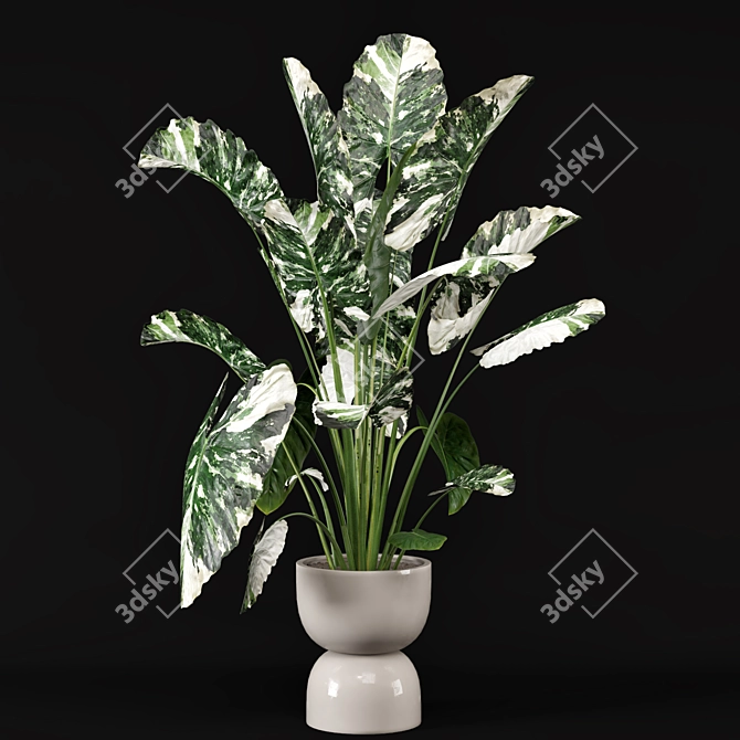 Rusty Concrete Pot Indoor Plants 3D model image 2