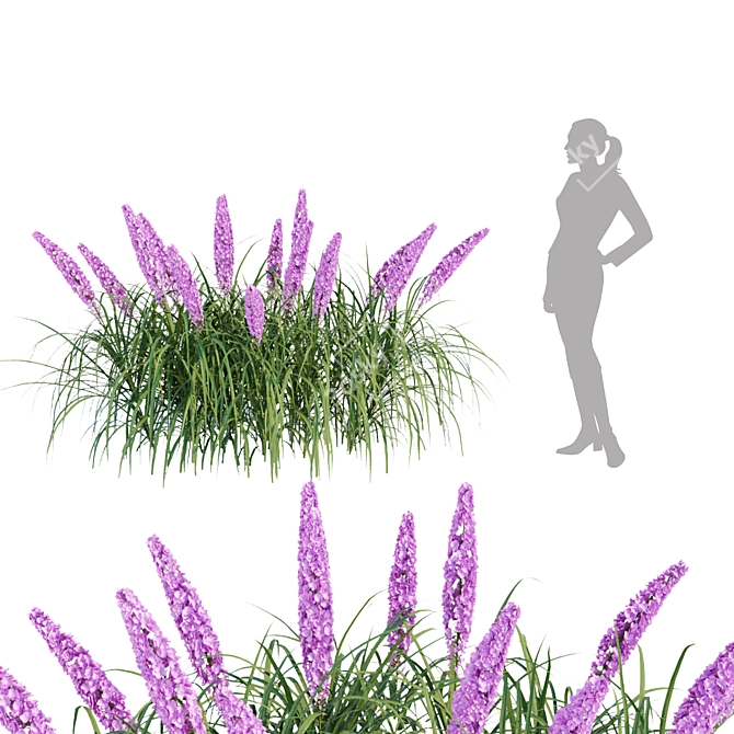 Flowering Bush Collection: Outdoor Beauty 3D model image 2