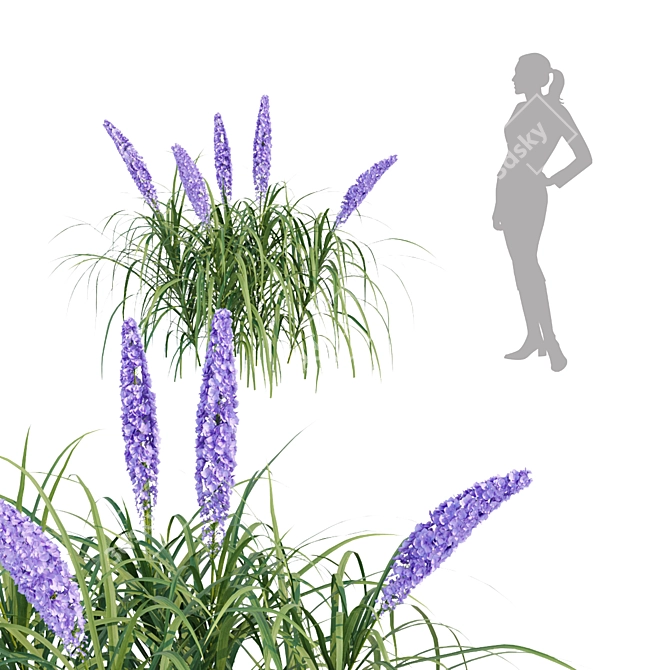 Flowering Bush Collection: Outdoor Beauty 3D model image 3