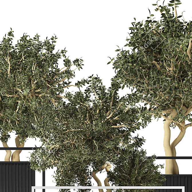 Contemporary Indoor Greenery 010 3D model image 2