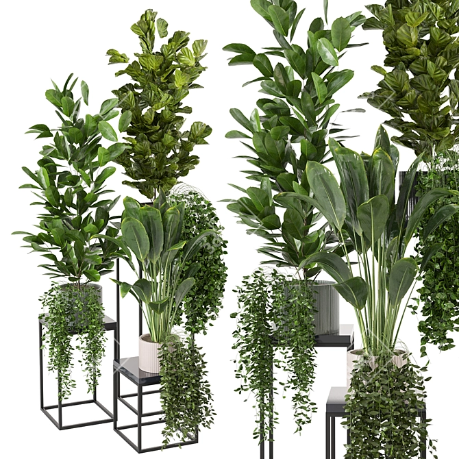 Tropical Indoor Plants Collection 3D model image 2