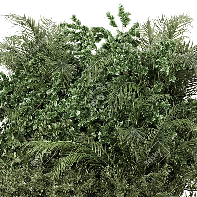 Outdoor Plants Bush Set 3D model image 2