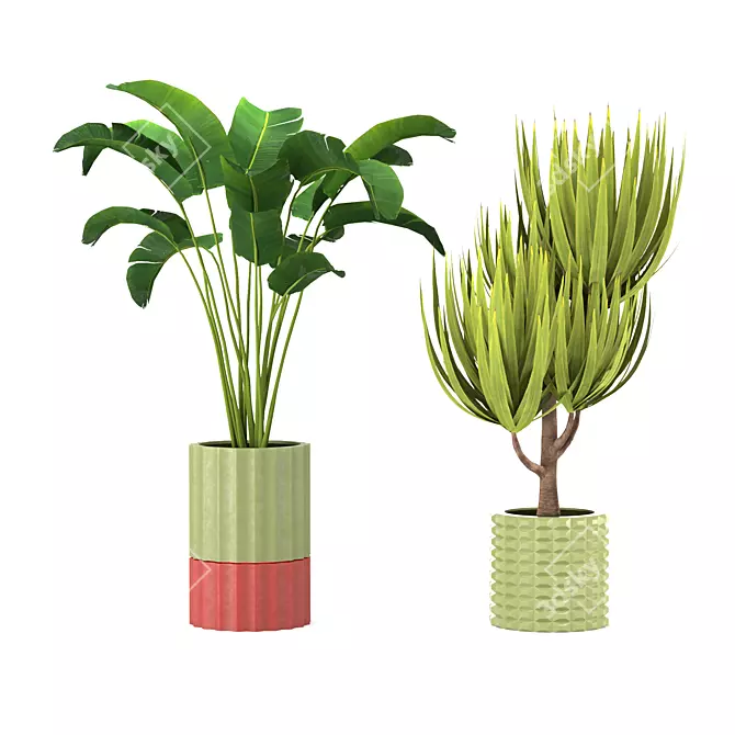 Stylish Indoor Greenery Collection 3D model image 1