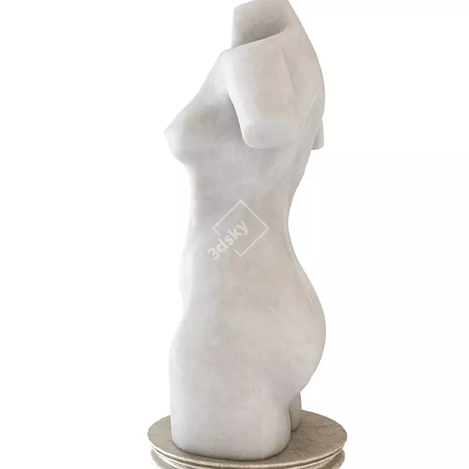 Title: Classic Female Torso Sculpture 3D model image 6