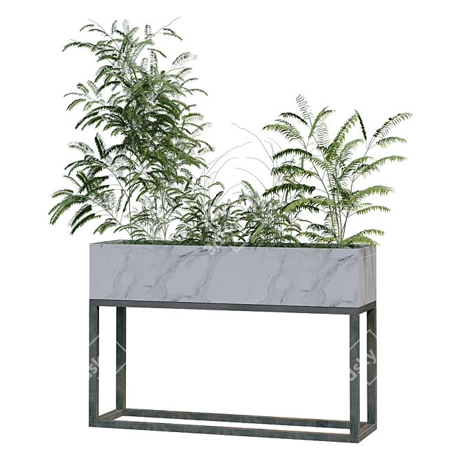 Lively Green Plant Box 3D model image 2