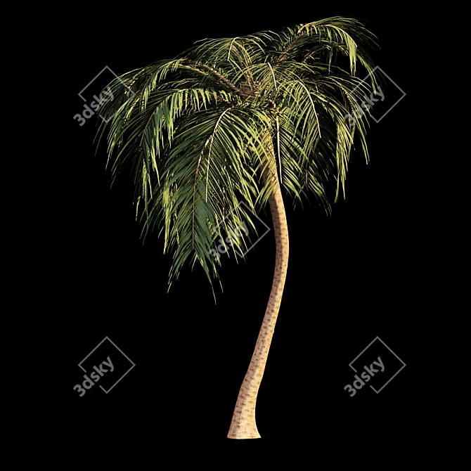 Tropical Bliss: Palm Tree Paradise 3D model image 2