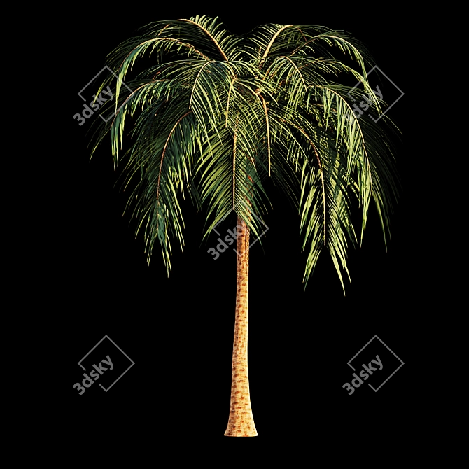 Tropical Bliss: Palm Tree Paradise 3D model image 3