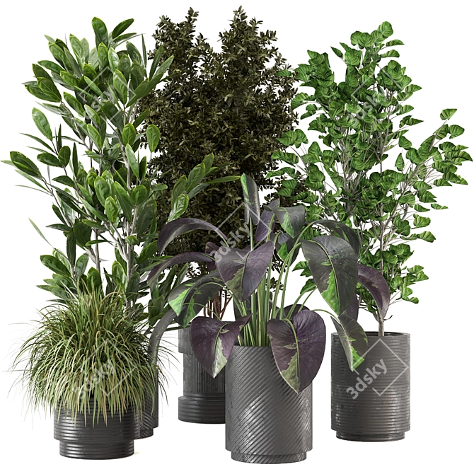 Indoor Greenery Set 234 3D model image 1