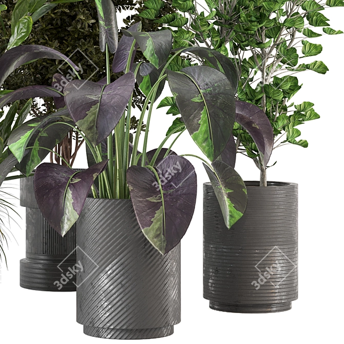 Indoor Greenery Set 234 3D model image 3