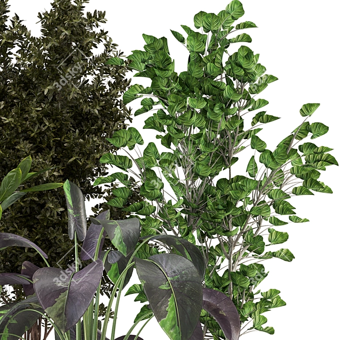 Indoor Greenery Set 234 3D model image 5