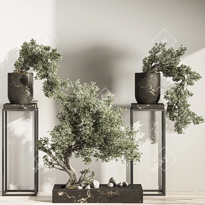 Breathtaking Bonsai and Indoor Plant Set 3D model image 3