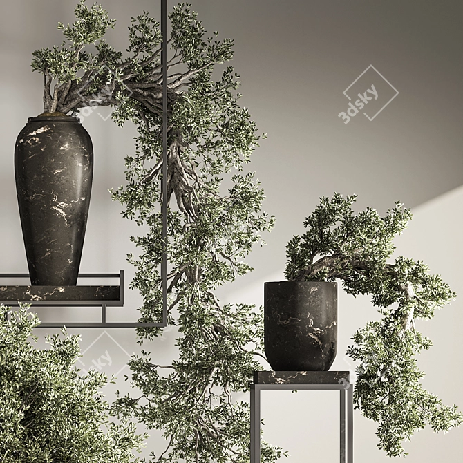 Breathtaking Bonsai and Indoor Plant Set 3D model image 6