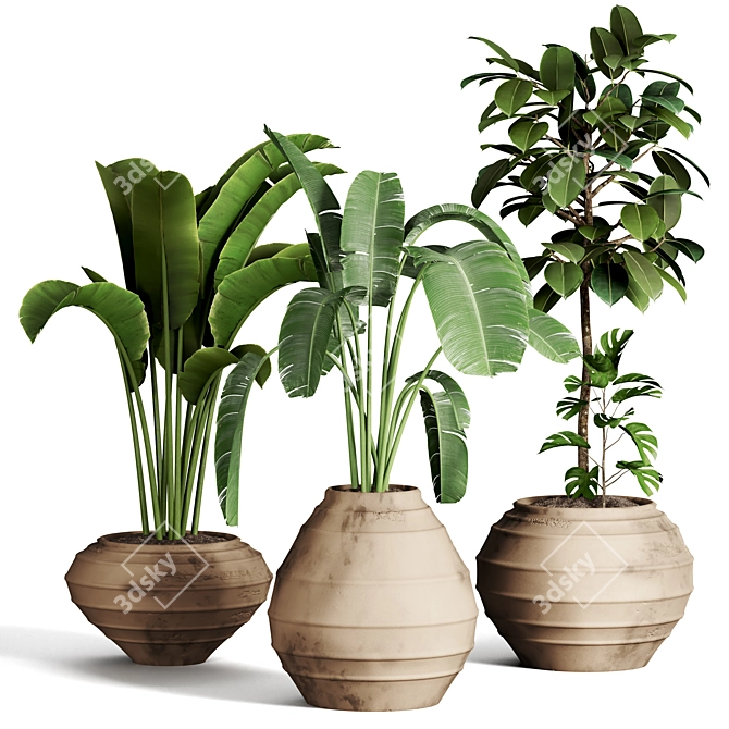 51 Indoor Plant Collection 3D model image 1