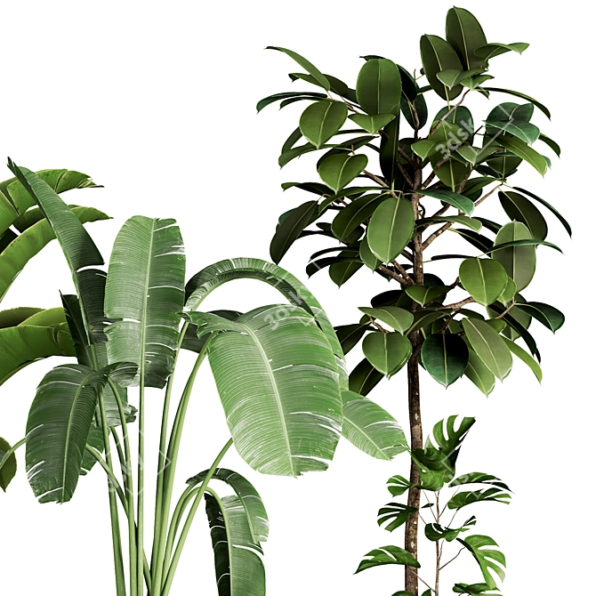 51 Indoor Plant Collection 3D model image 2