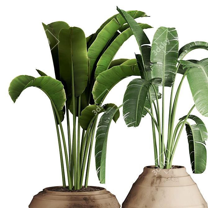 51 Indoor Plant Collection 3D model image 3