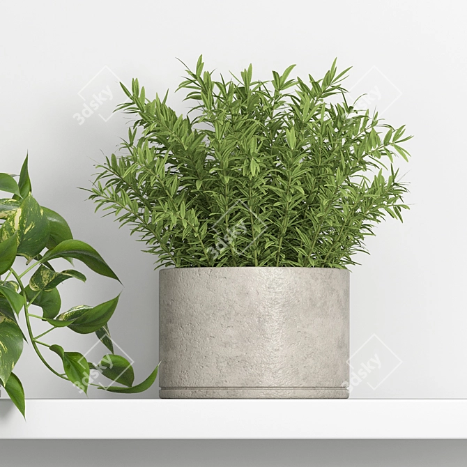 Botanical Bliss: Hanging Garden Shelf 3D model image 2