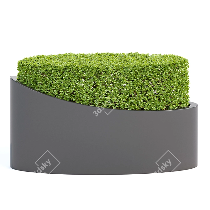 Modern Style Indoor/Outdoor Bush 3D model image 3